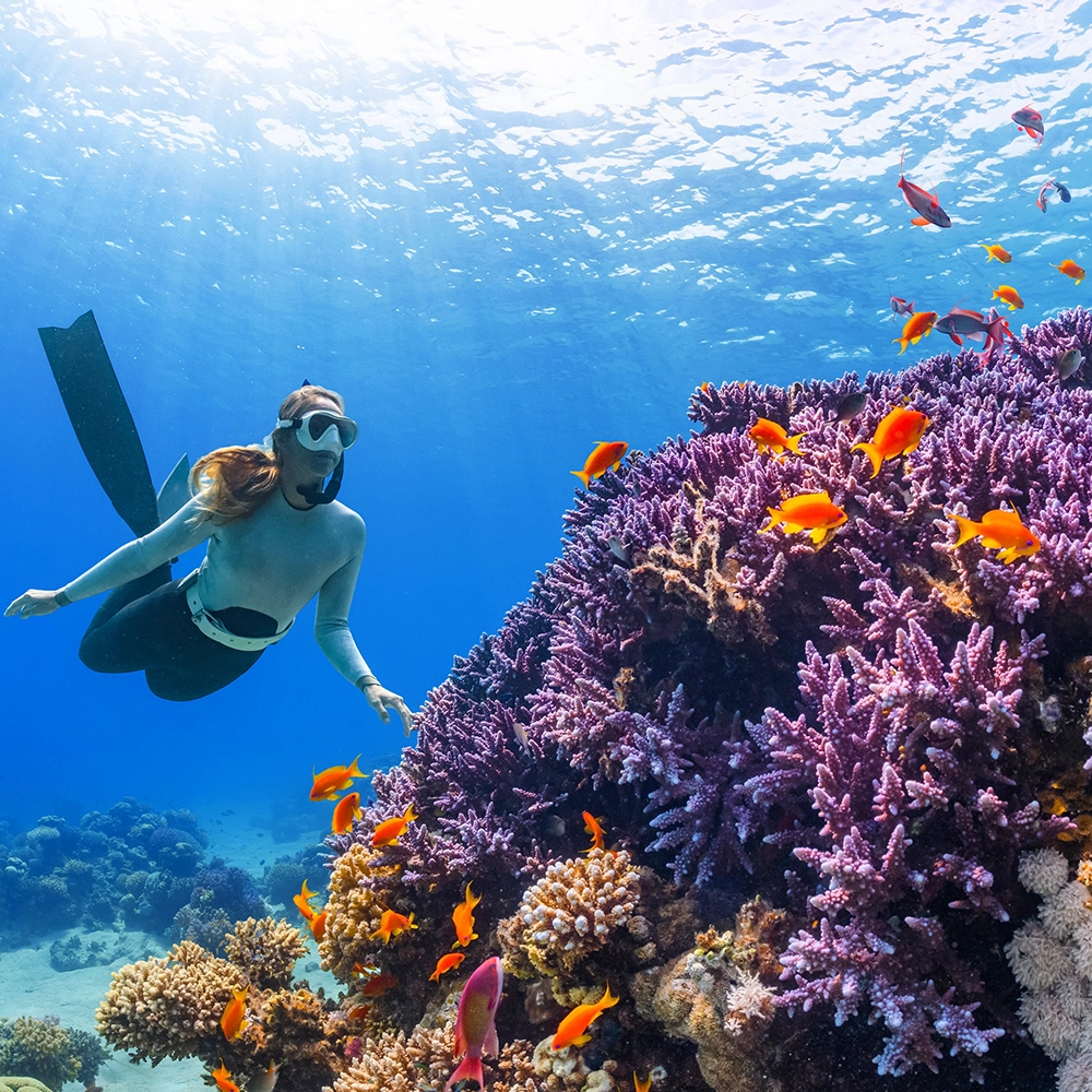 Diving action shot after Pixometry, sharper, more dynamic